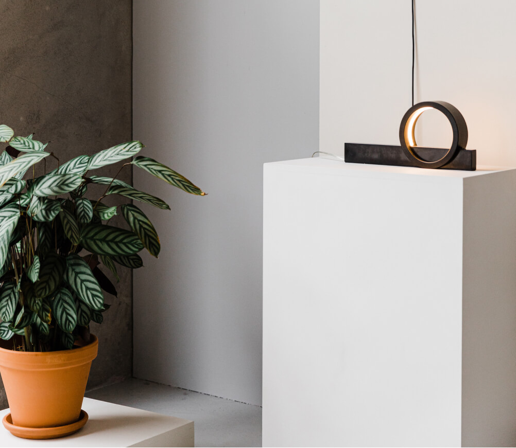 m2_cat_01.jpg m2_cat_01.jpg